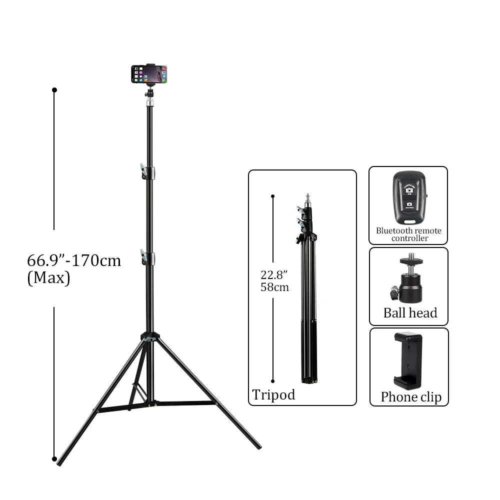 8"/10" RGB Selfie Ring Light with Tripod Phone Stand